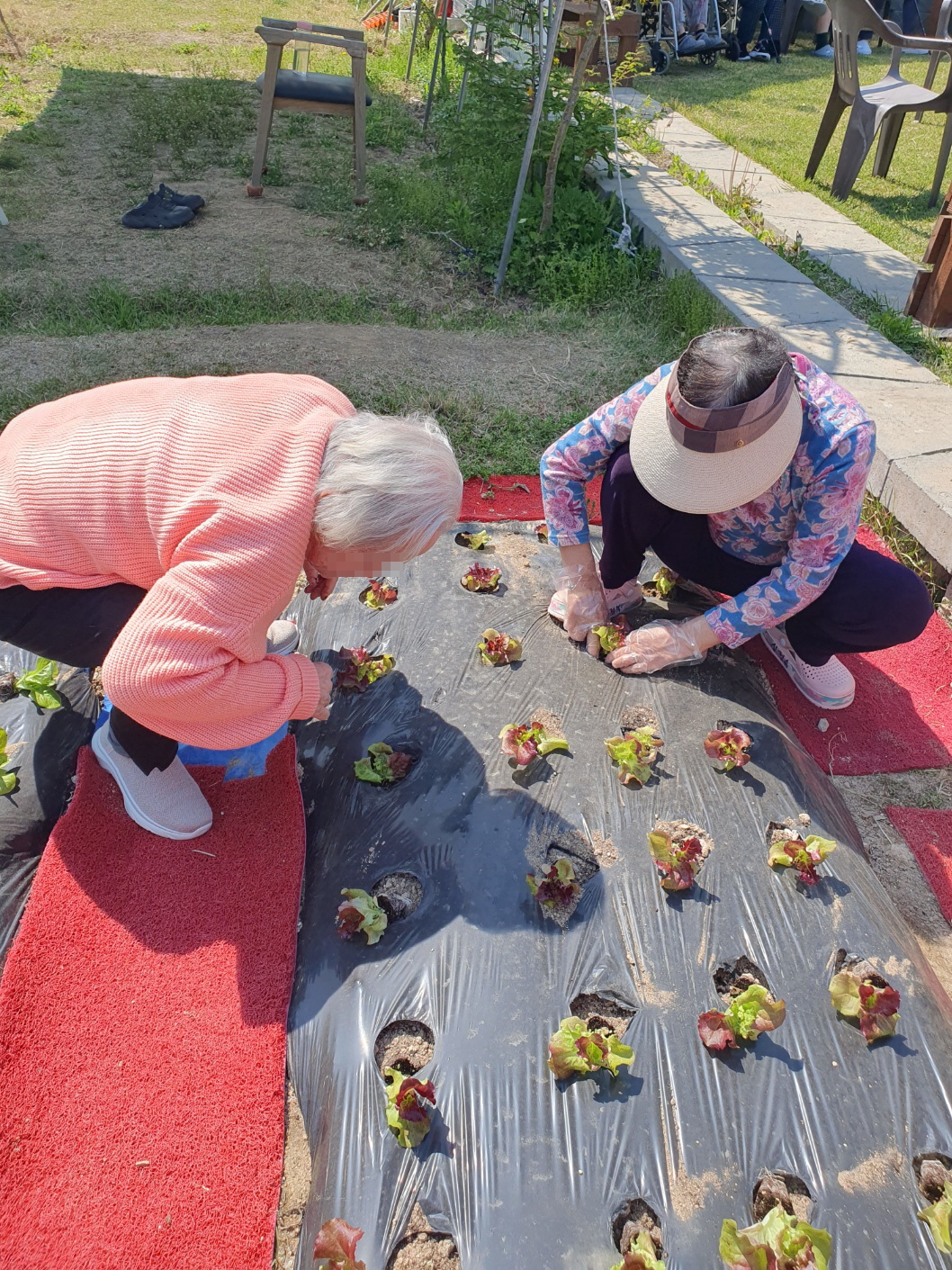 [꾸미기]KakaoTalk_20250429_152403815_14.jpg