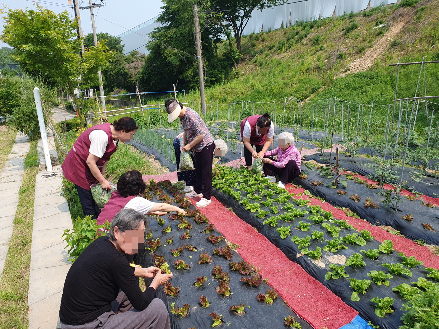 [꾸미기]KakaoTalk_20250527_161949222_05.jpg