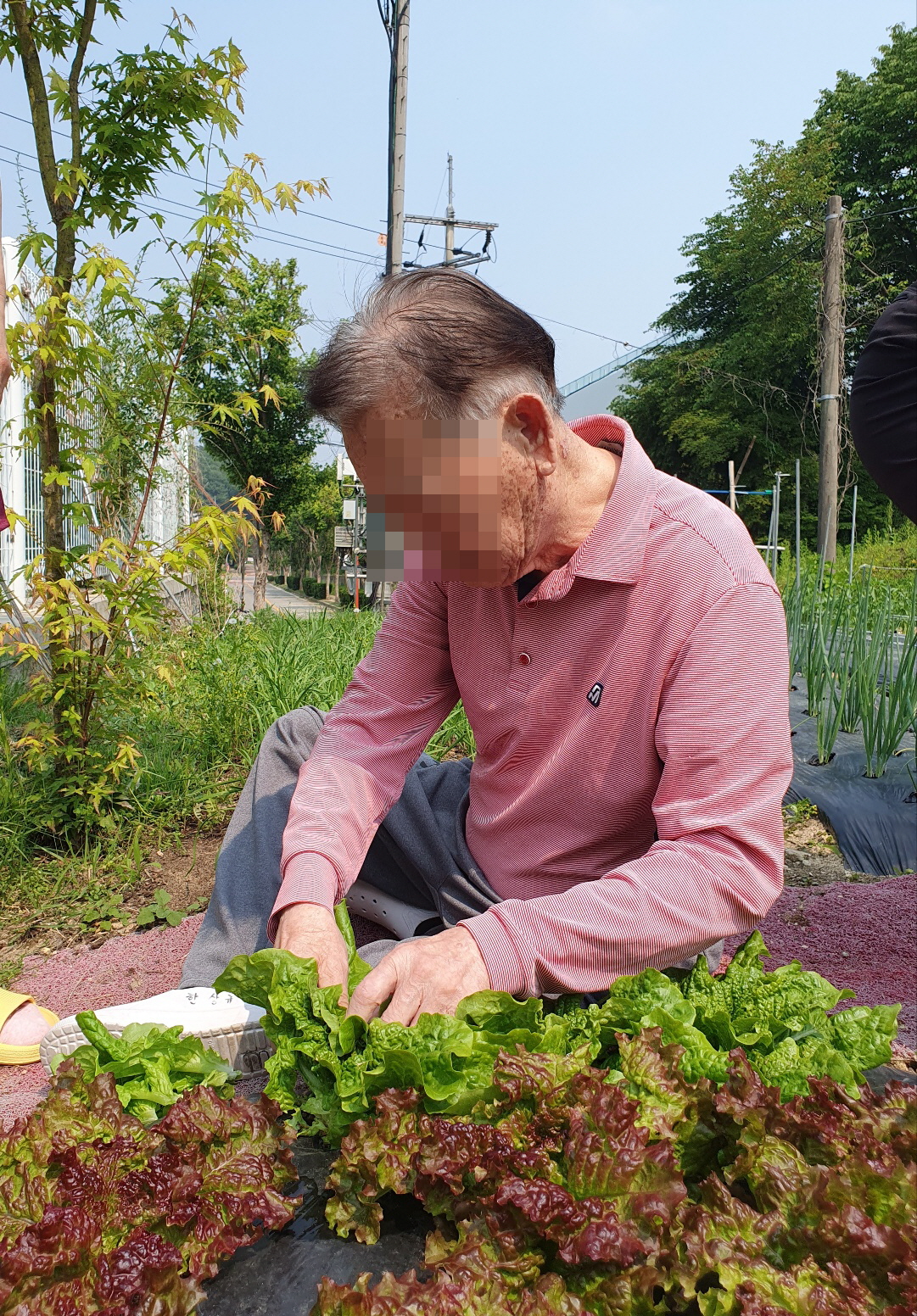 [꾸미기]KakaoTalk_20250527_161949222_09.jpg