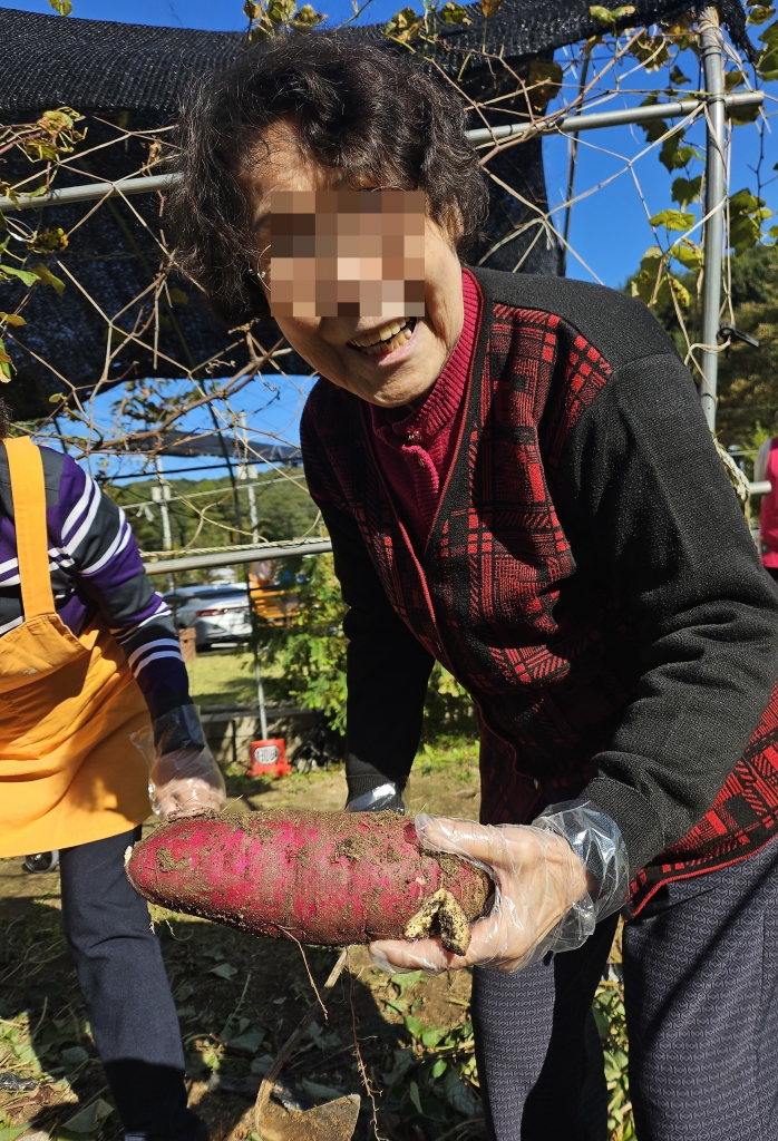 고구마 수확하는 날^^